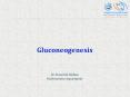 Gluconeogenesis PowerPoint PPT Presentation