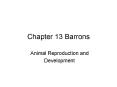Chapter 13 Barrons PowerPoint PPT Presentation