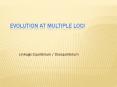 Evolution at Multiple Loci PowerPoint PPT Presentation