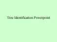 Tree Identification Powerpoint PowerPoint PPT Presentation