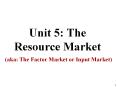 Unit 5: The Resource Market PowerPoint PPT Presentation
