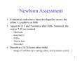 Newborn Assessment PowerPoint PPT Presentation