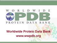 Worldwide Protein Data Bank