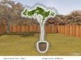 How to Grow Trees: Learn Step by Step PowerPoint PPT Presentation