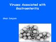 Rotaviruses presented by Dr.Lamia Ghazi Jamjoom PowerPoint PPT Presentation