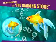 FISH! Philosophy by "The Training Store"