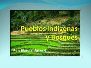 Pueblos Indigenas y Bosques