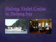 Halong Violet Cruise in Halong bay PowerPoint PPT Presentation