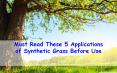 Must Read These 5 Applications of Synthetic Grass Before Use PowerPoint PPT Presentation