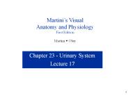 NVCC Bio 212