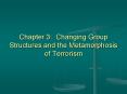 Chapter 3: Changing Group Structures and the Metamorphosis of Terrorism PowerPoint PPT Presentation