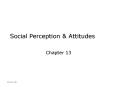 Social Perception PowerPoint PPT Presentation