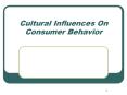 Cultural Influences On Consumer Behavior PowerPoint PPT Presentation