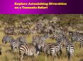 Explore Astonishing Diversities on a Tanzania Safari PowerPoint PPT Presentation