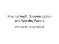 Internal Audit Documentation and Working Papers PowerPoint PPT Presentation