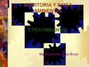 AUDITORIA Y ETICA AMBIENTAL