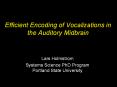 Efficient Encoding of Vocalizations in the Auditory Midbrain PowerPoint PPT Presentation