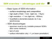 SEM overview 