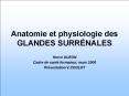 Anatomie et physiologie des GLANDES SURR PowerPoint PPT Presentation