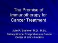 The Promise of Immunotherapy for Cancer Treatment PowerPoint PPT Presentation