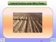 Integrated nutrient management in mango PowerPoint PPT Presentation