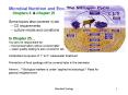 Microbial Nutrition and Ecology PowerPoint PPT Presentation