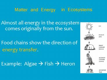 Matter and Energy in Ecosystems