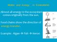 Matter and Energy in Ecosystems PowerPoint PPT Presentation