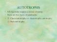 AUTOTROPHS PowerPoint PPT Presentation