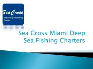 Miami Beach Fishing Charter Boat