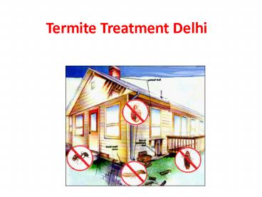 Termite Control in Delhi 100% WHO recommended