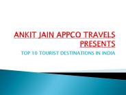 Ankit Jain Appco Travels (1)