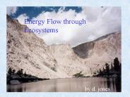 Energy Flow through Ecosystems