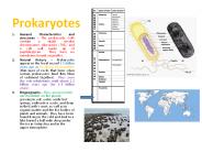 Prokaryotes