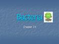 Bacteria PowerPoint PPT Presentation