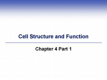 presentation player overlay
