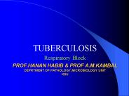 PROF.HANAN HABIB