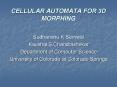 CELLULAR AUTOMATA FOR 3D MORPHING PowerPoint PPT Presentation