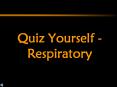 Quiz Yourself - Respiratory PowerPoint PPT Presentation