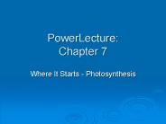 PowerLecture: Chapter 7