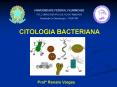 CITOLOGIA BACTERIANA PowerPoint PPT Presentation
