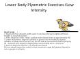 Lower Body Plyometric Exercises (Low Intensity) PowerPoint PPT Presentation