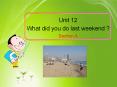 What did you do last weekend ? PowerPoint PPT Presentation