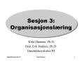 Sesjon 3: Organisasjonsl PowerPoint PPT Presentation