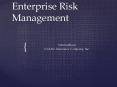 Enterprise Risk Management PowerPoint PPT Presentation