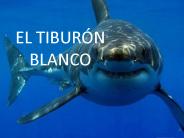 EL TIBUR