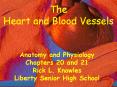 Anatomy and Physiology PowerPoint PPT Presentation