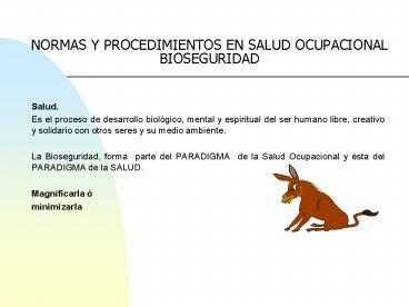 NORMAS Y PROCEDIMIENTOS EN SALUD OCUPACIONAL BIOSEGURIDAD