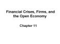 Financial Crises, Firms, and the Open Economy PowerPoint PPT Presentation
