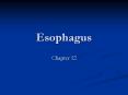 Esophagus PowerPoint PPT Presentation